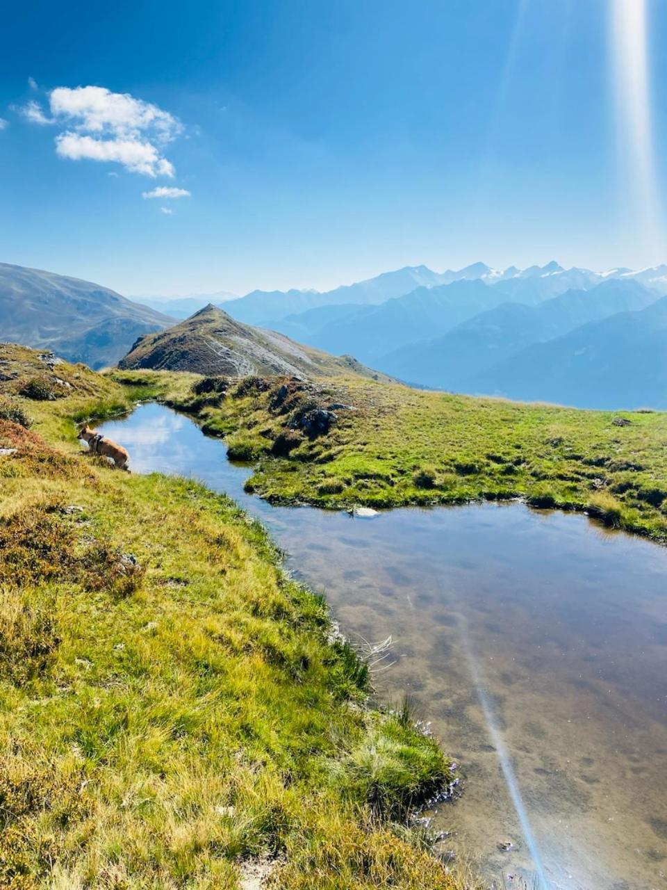 Appartement Mountain & Fun Saalbach-Hinterglemm Buitenkant foto